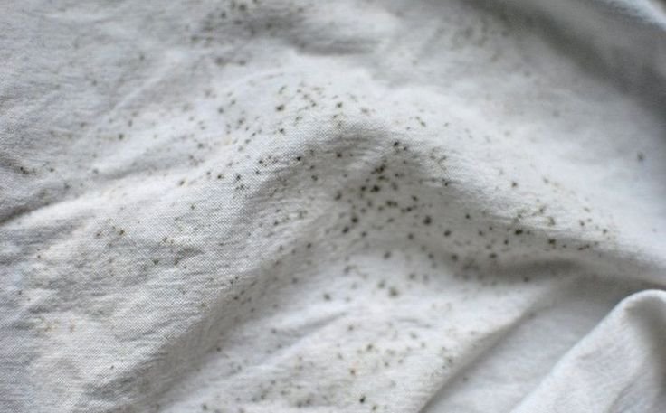 How To Remove Black Mold From Fabric Furniture?