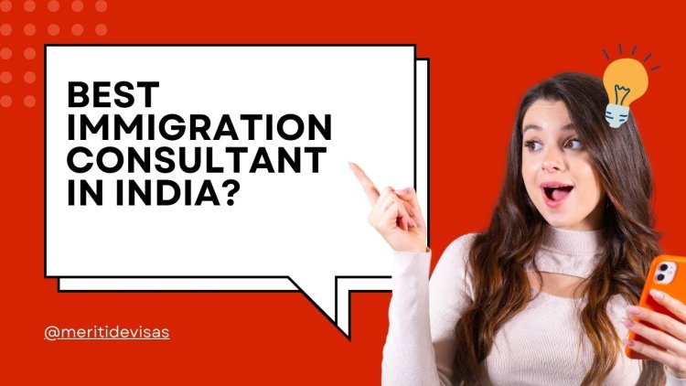 Find the Best Immigration Consultant in Delhi – Trusted & Verified