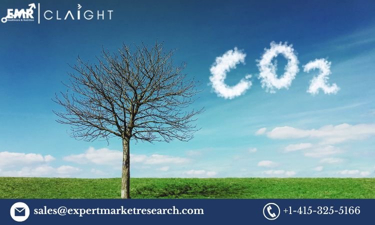 United Kingdom Carbon Dioxide Market: Trends, Growth, and Forecast 2025-2034