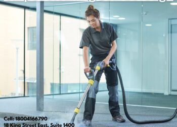 How Regular Carpet Cleaning Enhances Indoor Comfort