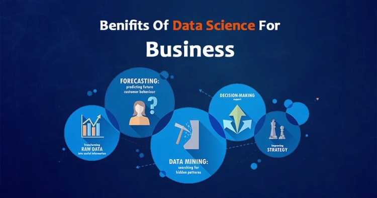 What is a Data Science Service and Why is it Essential for Businesses