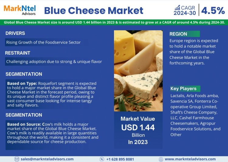 Blue Cheese Market Comprehensive Analysis and Forecast 2024 to 2030