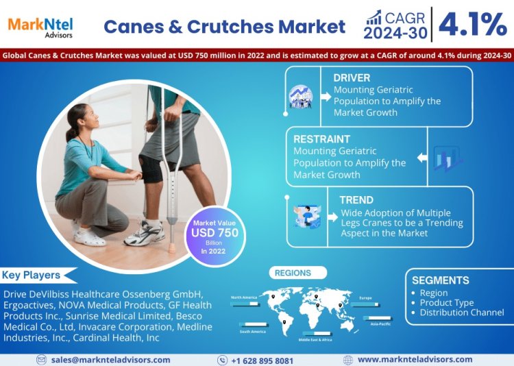 Canes & Crutches Market Comprehensive Analysis and Forecast 2024 to 2030