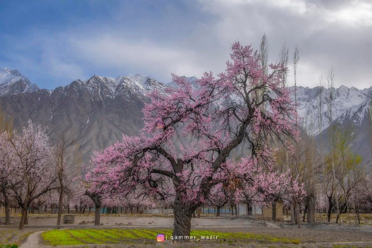 Skardu Travel and Tour: Your Ultimate Journey to the Roof of the World